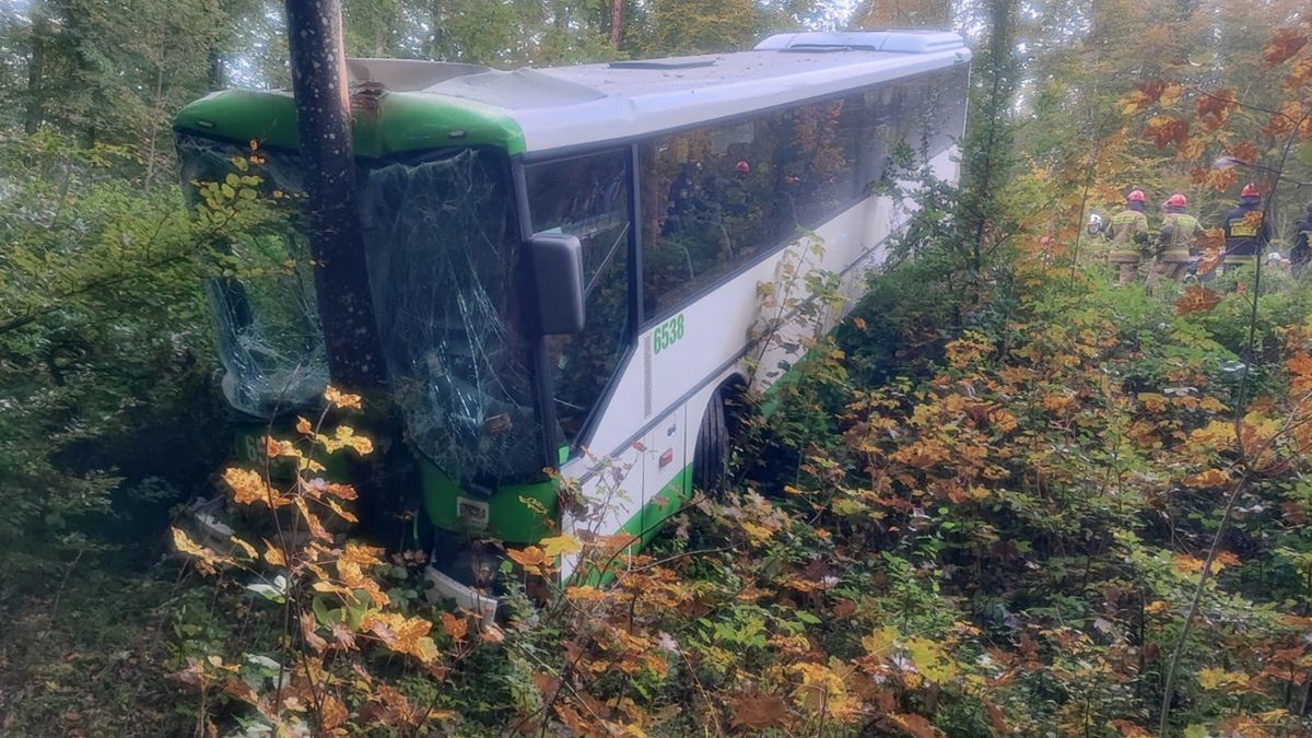 Autobusem podróżowało ok. 50 osób.