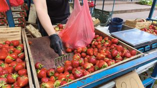 Ile kosztują truskawki? Sprawdzamy ceny we Wrocławiu i na Dolnym Śląsku