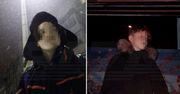 Chcieli wyburzyć budynek w Minecraft. Uczniowie oskarżeni o działalność terrorystyczną