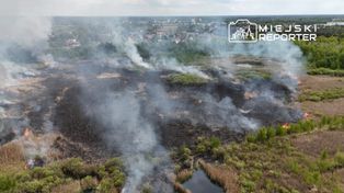 Płonie Obszar Natura 2000 "Białe Błota”. Sytuacja jest trudna i nieopanowana. Zadymienie widać z Warszawy