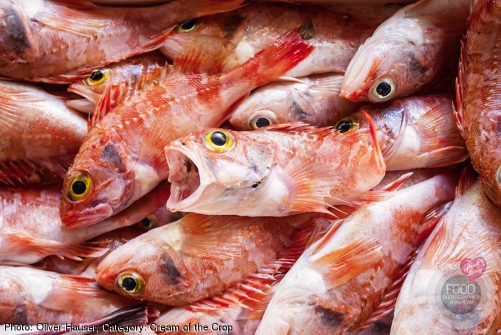 Najlepsze zdjęcia kulinarne 2016 roku w konkursie Pink Lady Food Photographer of the Year 28