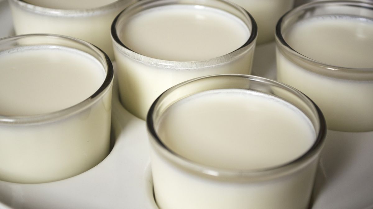 Dlaczego warto pić kefir?