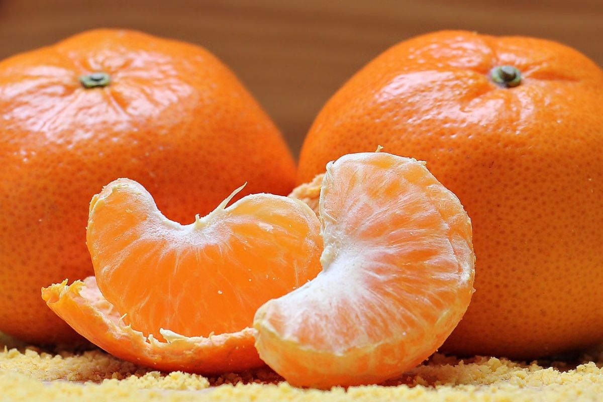 Słodkie mandarynki mają wyraźny zapach i intensywny kolor