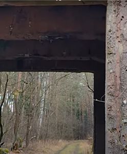 Tajemnicze miejsce. Dokąd prowadzi betonowa brama w środku lasu?