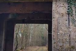 Tajemnicze miejsce. Dokąd prowadzi betonowa brama w środku lasu?
