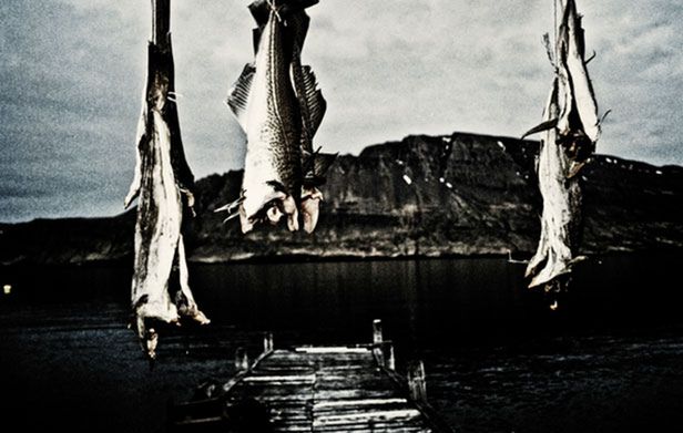Magnum Expression Award 2011 - Polacy w finale 3