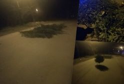 Śląskie. Zniszczyli choinkę straży pożarnej z Bystrej. Po kilku godzinach zapukała do nich policja