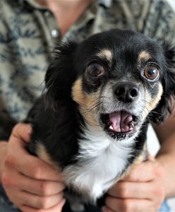 "Warszawa nie strzela". Trzaskowski apeluje do mieszkańców ws. sylwestra