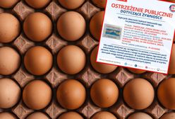 GIS ostrzega: salmonella wykryta na jajach