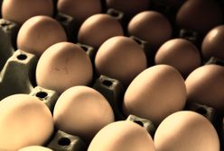 Ostrzeżenie GIS. W jajach może występować salmonella