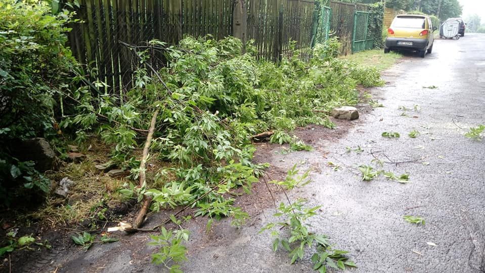 Śląskie. Połamane gałęzie to najczęstsze problemy wynikłe po przejściu burz.
