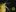 Nikon Small World. Najlepsze filmy wideo w rozmiarze mikro [wideo]