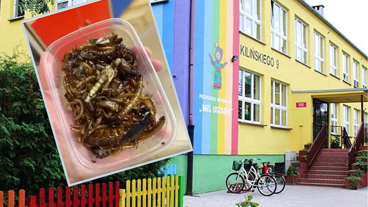 Owady ze zdjęć w przedszkolu zrobiły furorę