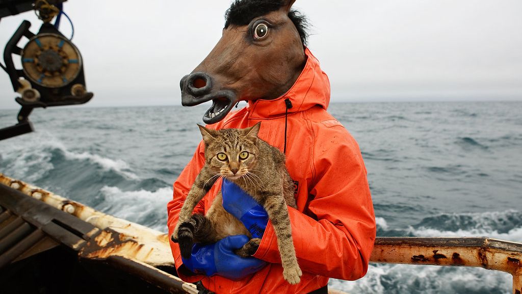 Jak wygląda życie zawodowego rybaka, który jest… fotografem? 1