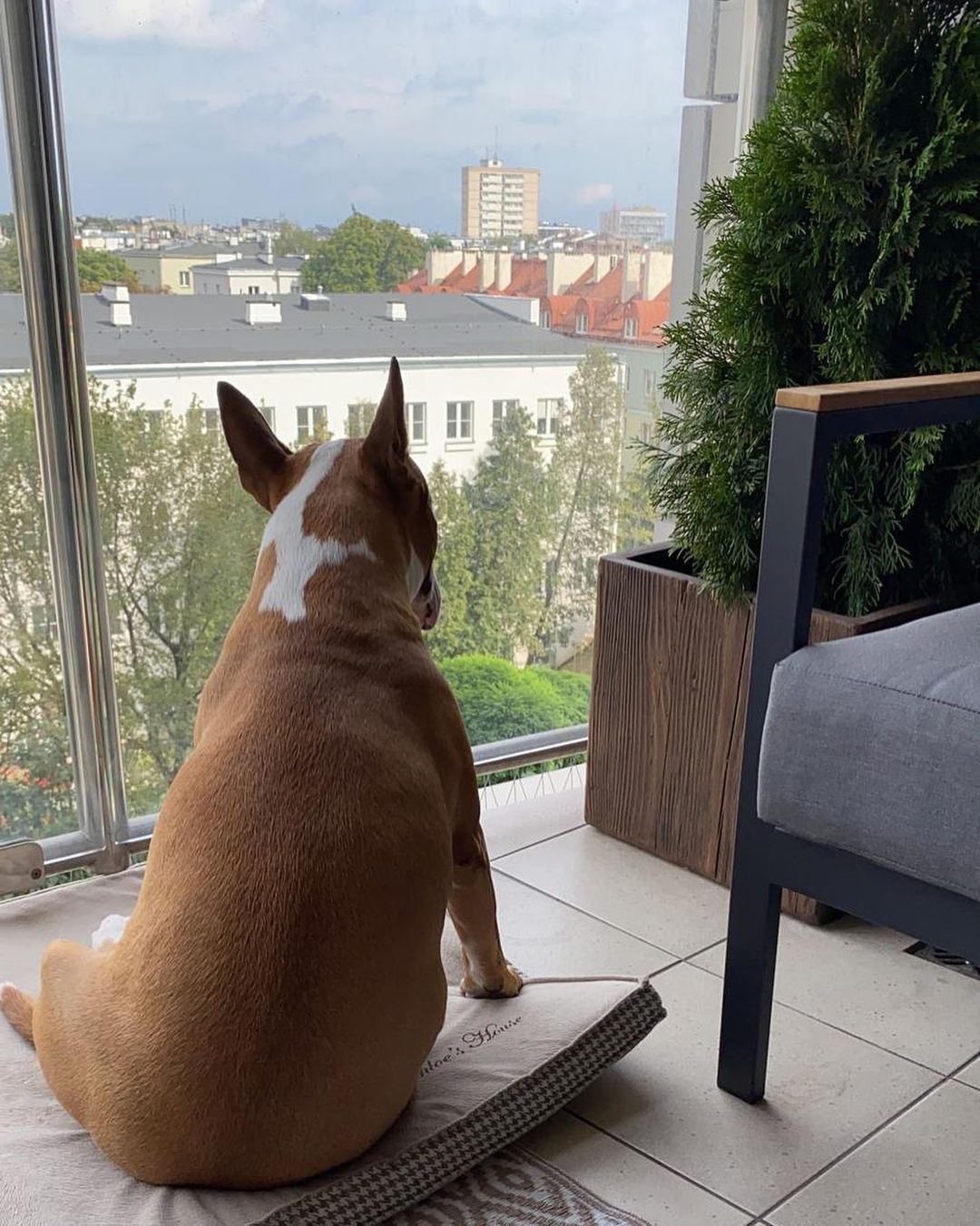 Jak mieszka Krzysztof Ibisz?