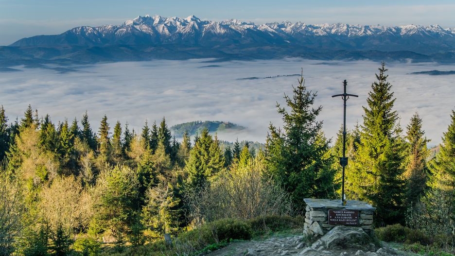 Widok na Tatry z Lubania w Gorcach