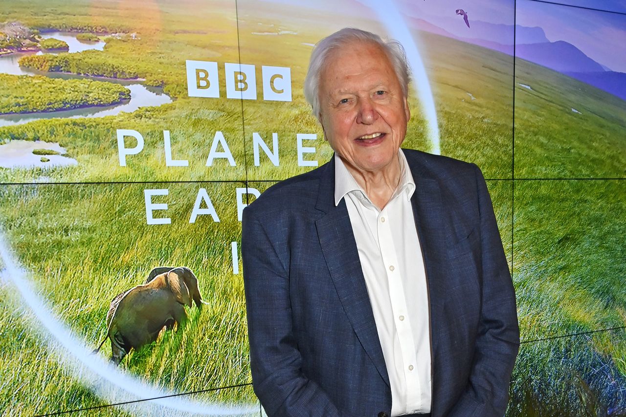 David Attenborough ma 98-lat. Sekret jego długowieczności tkwi w diecie