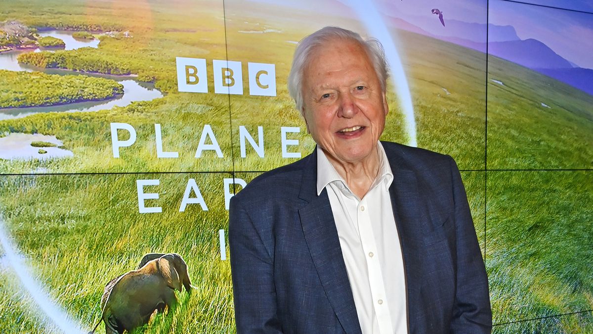 BBC Studios Global Launch Of "Planet Earth III" At Frameless
LONDON, ENGLAND - OCTOBER 12: Sir David Attenborough attends the Global Launch of BBC Studios' "Planet Earth III" at Frameless on October 12, 2023 in London, England. (Photo by Dave Benett/Getty Images)
Dave Benett
television, bestof, topix