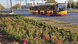 Warszawa: Autobusy szybciej, kierowcy wolniej. Zmiany na ważnej ulicy