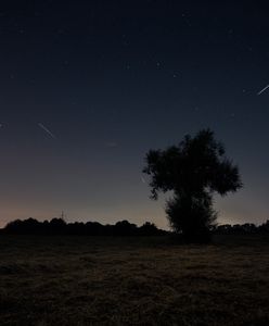 Lirydy 2024. Nadchodzi noc spadających gwiazd. Kiedy obserwować rój meteorów?