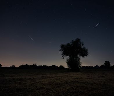 Lirydy 2024. Nadchodzi noc spadających gwiazd. Kiedy obserwować rój meteorów?