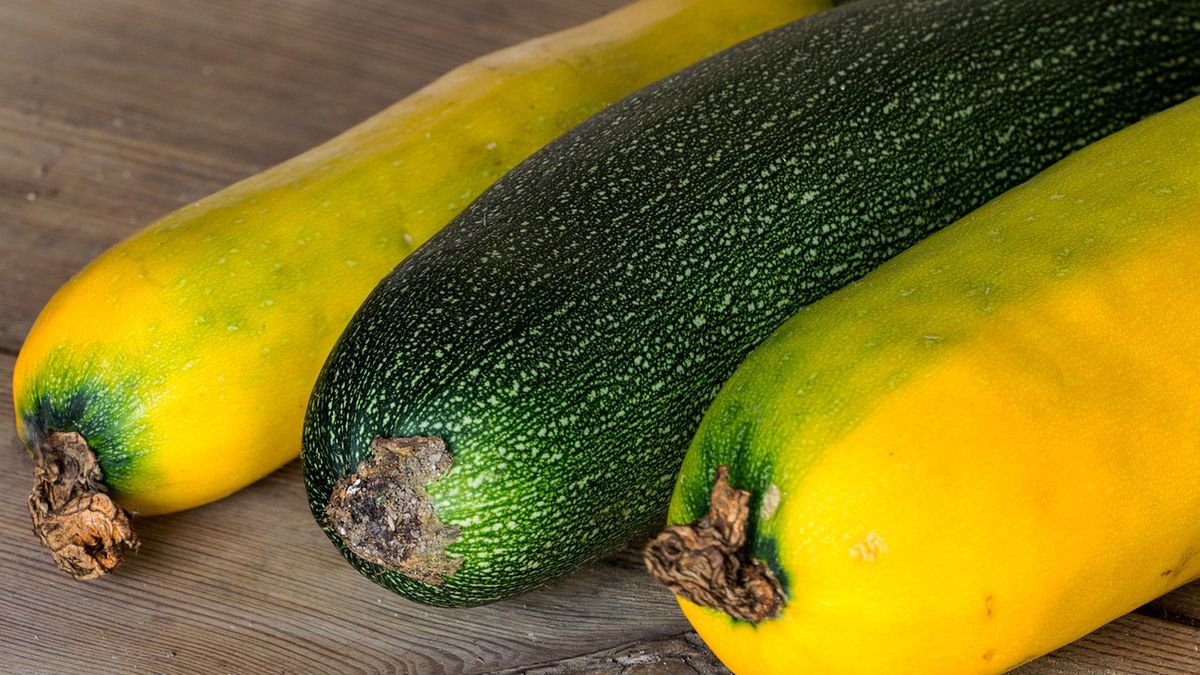 Cukinia zielona i żółta