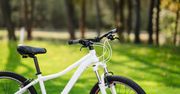 Rusza Rowerowa Stolica Polski 2026. Płocczanie znów wsiądą na rowery