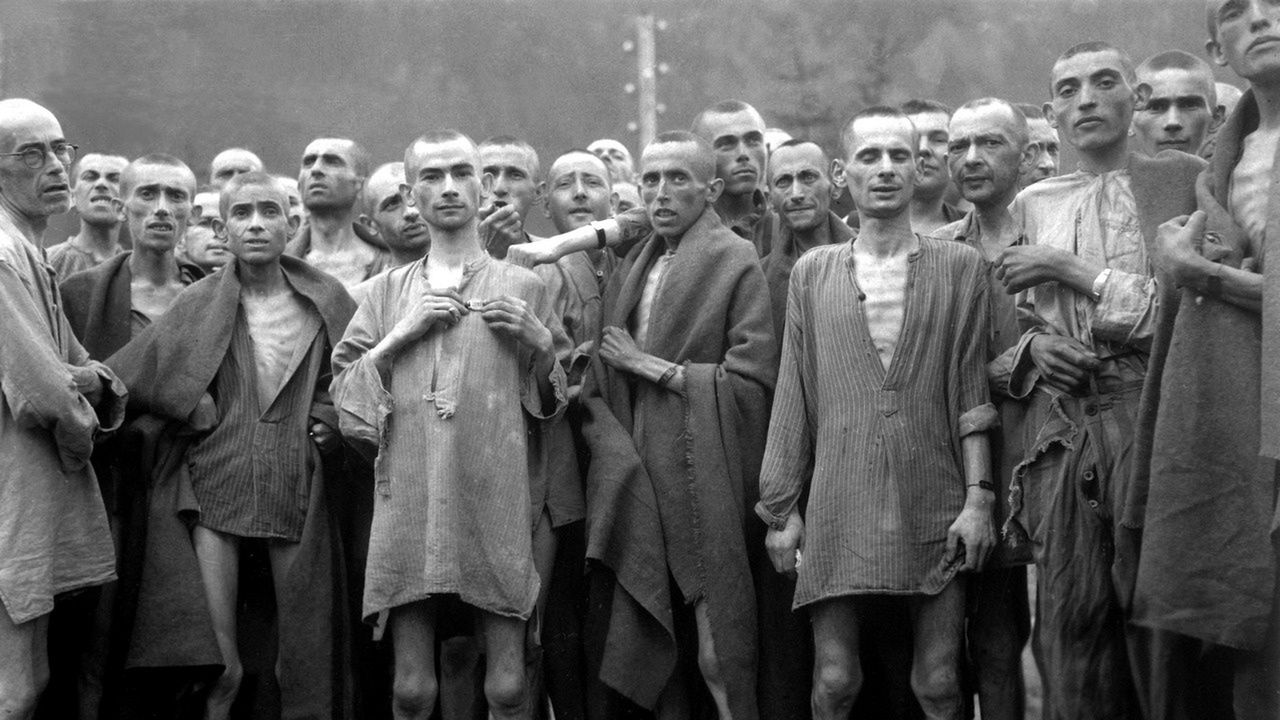 Naziści chcieli żywić miliony ludzi drewnem. Eksperymenty zakończyły się katastrofą