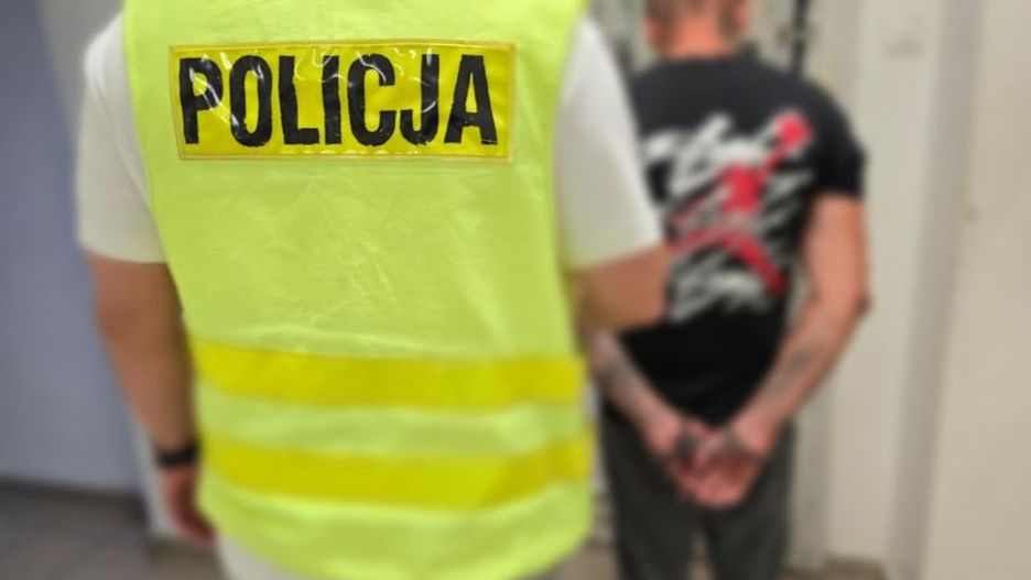Fot. Licencjodawca