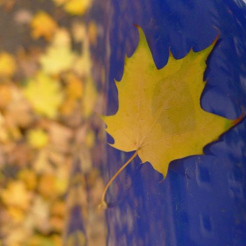 Panasonic Lumix LX5 - test [część 2] 19