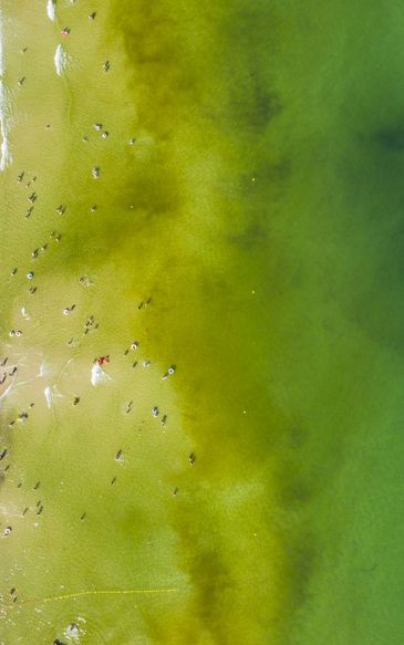 "To pogoda na ostro". Susza, a zaraz potem powódź