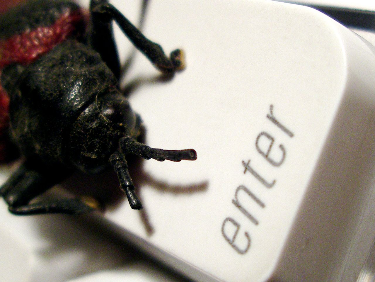 Kaspersky Lab z kolejnym wyróżnieniem