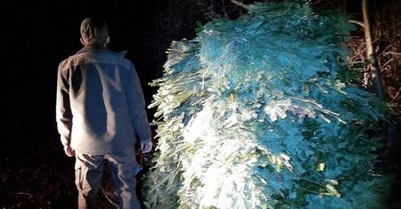 Dramat w lesie. Ugodził policjanta nożem, strażnik uratował mu życie