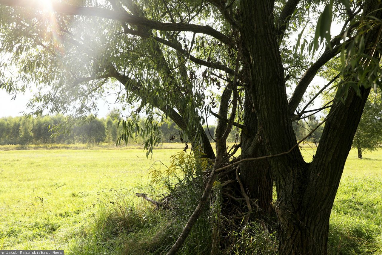 Wołomin. Znane są przyczyny zgonu dwóch nastolatek 