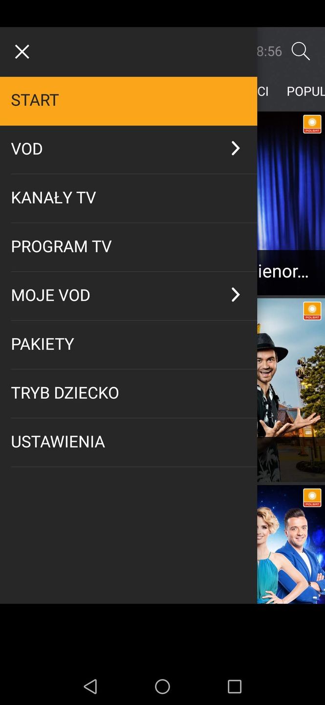 Obraz