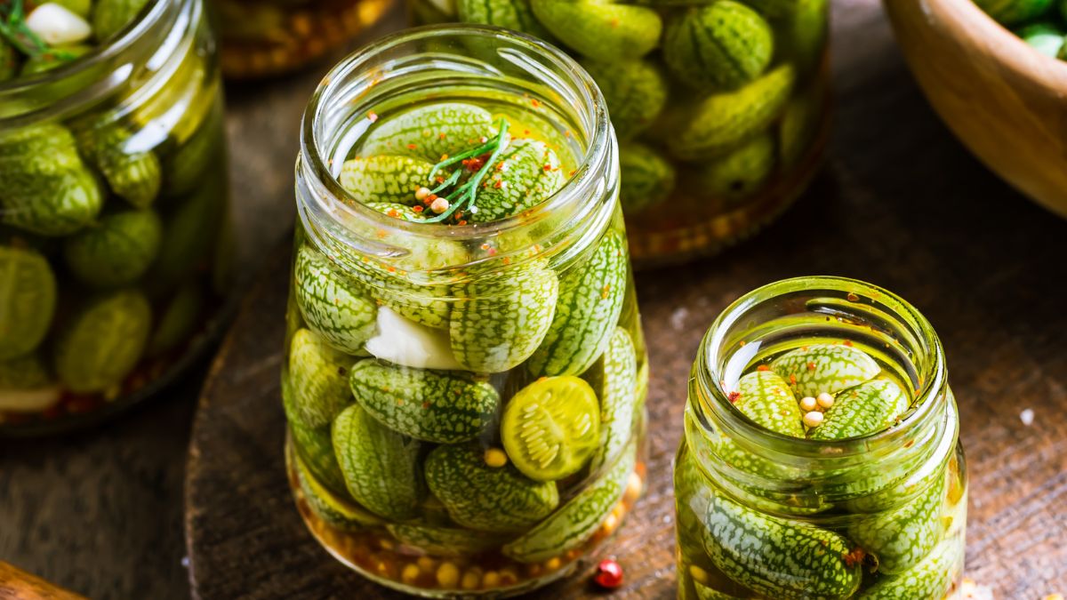 Ogórek meksykański nadaje się do kiszenia