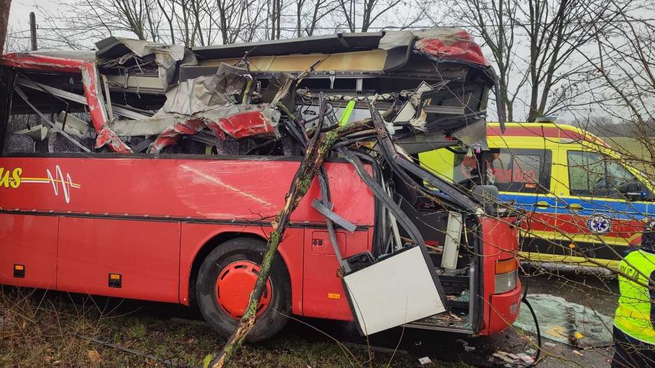 Autobus szkolny uderzył w drzewo. Poważny wypadek pod Szamotułami 