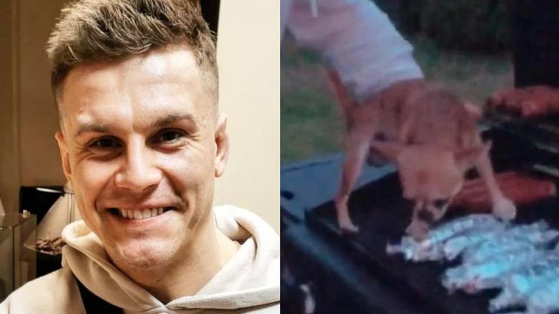 Alan Kwieciński próbuje "ugrillować" psa