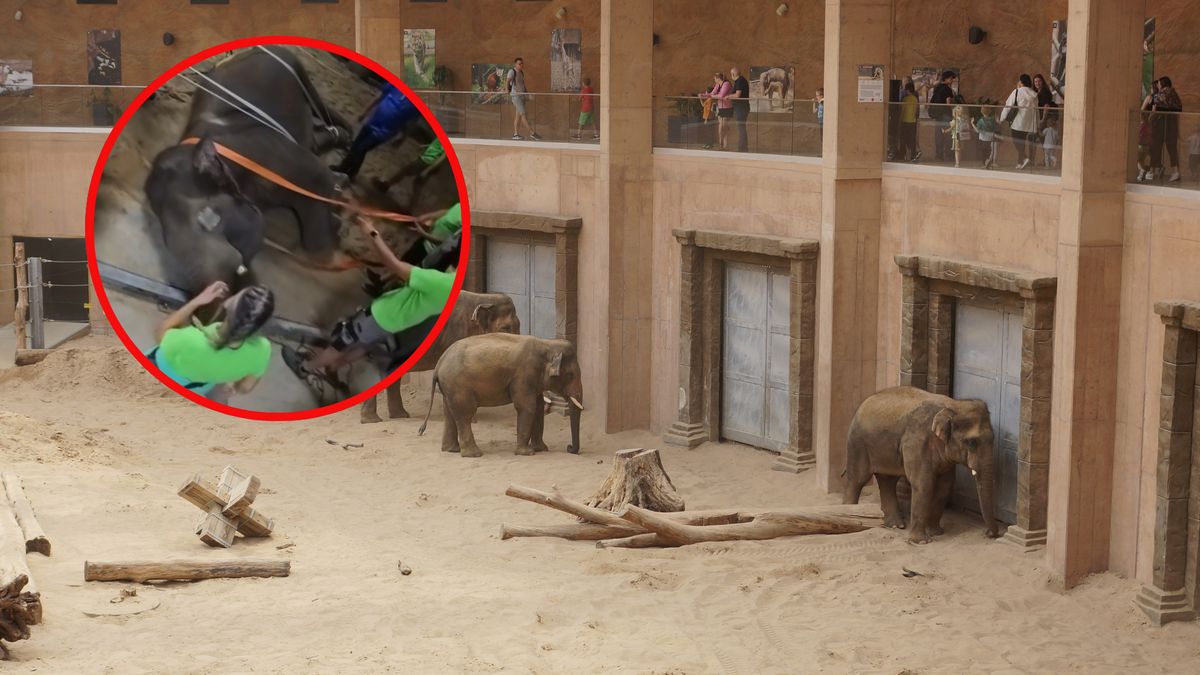 Operacja była niezwykle skomplikowana 