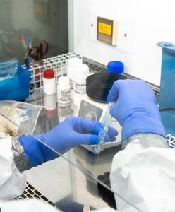 Koronawirus. Nowy Sącz. Pensjonariusz DPS chciał wyskoczyć przez okno