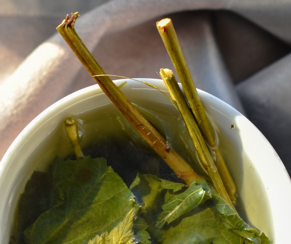 Napój idealny na przeziębienie. Wzmacnia odporność i rozgrzewa