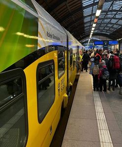 Niemcy patrzą na Polskę z zazdrością. "Die Welt": Dlaczego Ukraińcy u nas nie pracują?