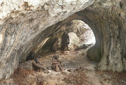 Nie wojny a krzyżowanie się z Homo sapiens mogło doprowadzić do wyginięcia neandertalczyków