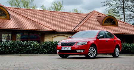 Skoda Octavia 1,2 TSI (85 KM) Active - test [galeria]