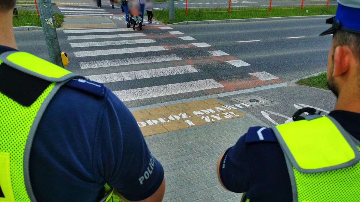 Kontrola pieszych przechodzących przez jezdnię