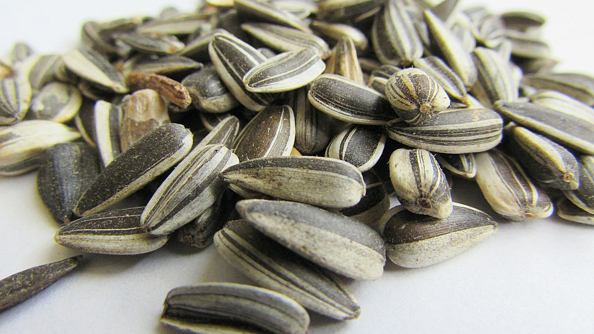 Glicynę można znaleźć m.in. w pestkach słonecznika