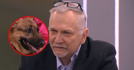 Uratował suczkę przed schroniskiem. Nie wiedział, że będzie zawdzięczał jej swoje życie