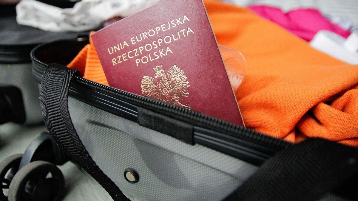 Jakie korzyści daje EKUZ?