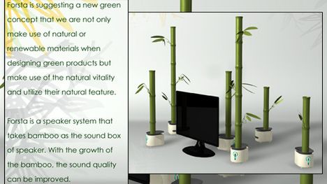 Kino domowe z bambusa 1