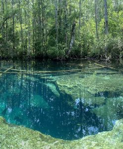 Makabryczne odkrycie. Podczas kąpieli w jeziorze znaleźli martwych nurków
